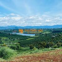 Deal siêu tốt view hồ Phúc Thọ-Lâm Hà DT 1000m2 sẵn 100m2 thổ cư chỉ 850tr