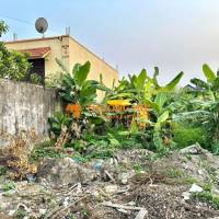 11 triệu/m2 185m2 Cao Tiến Đại Hà Kiến Thụy Zalo 0567222555