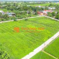 🌟 ĐẤT THỔ CƯ TÂN TRỤ-150m2 – XÂY DỰNG TỰ DO [💰299 TRIỆU] 🌟