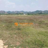 CHÍNH CHỦ BÁN ĐẤT CLN TẠI XÃ ĐẠ KHO, HUYỆN ĐẠ TẺH, LÂM ĐỒNG