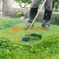 Bảo dưỡng cảnh quan trọn gói Đồng Nai 2025 – Chuyên nghiệp & tiết kiệm