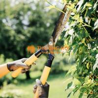Chăm sóc cảnh quan toàn diện cho doanh nghiệp tại Đồng Nai