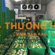 lao động phổ thông, phụ kho đóng hàng Q12