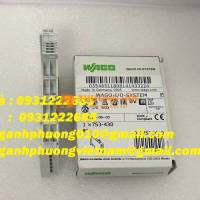 Module đầu vào 753-430 Wago - nhập khẩu giá tốt
