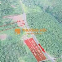 CẦN BÁN ĐẤT LỘC NGÃI – BẢO LỘC, LÂM ĐỒNG mkt49