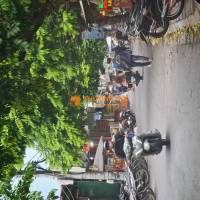 Nhỉnh 5 tỷ có đất gần cổng chính Học viện Nông nghiệp, ngõ ngắn, thông 4 chỗ. Lh 0989894845