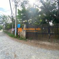 Trang trại chăn nuôi heo qui mô lớn 10 hécta giá 155 tỷ có thương lượng