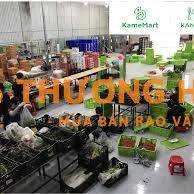 TUYỂN LĐPT ĐÓNG GÓI - PHỤ KHO LƯƠNG CAO