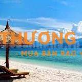 NHÀ 2 TẦNG KIÊN CỐ – MẶT TIỀN SƠN TRÀ – GẦN BIỂN MÂN THÁI – CHỈ 9.6 TỶ