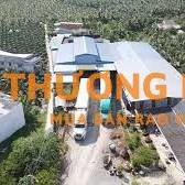 TUYỂN NAM QUẢN LÝ KHO ĐÓNG GÓI TRÁI CÂY XUẤT KHẨU