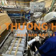 ✅ Cần LĐPT Làm CTY (Không Yêu Cầu Kinh Nghiệm, CCCD Đi Làm)