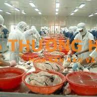 Nhân viên sản xuất (Sơ chế Thủy hải sản)