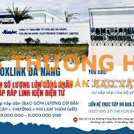 FOXLINK tuyển LĐPT số lượng lớn