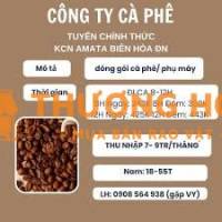 CÔNG TY CÀ PHÊ NESTLE TUYỂN NAM LDPT
