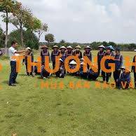 Tuyển Nam vệ sinh chăm sóc cây Gò Vấp