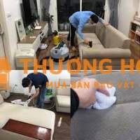 Vệ Sinh Sofa - Nệm