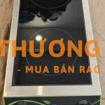 THANH LÍ BẾP TỪ ĐÔI INTECH NEW CS 3,5kW x2