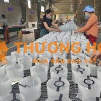 tuyển lao động phổ thông