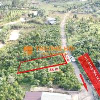 Vị trí vàng: Thuộc xã Lộc Đức, TP. Bảo Lộc – Lâm Đồng