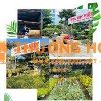 Nhân viên kế toán tổng hợp Đà Nẵng