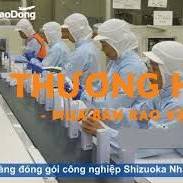 Đơn hàng đóng gói công nghiệp xkld Nhật Bản