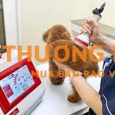 Cần 2 nam tham gia đơn hàng kỹ sư thú y làm việc tại Nhật