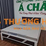 Tuyển Dụng 2 Tài Xế và 3 Phụ Xe