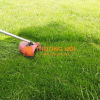 DỊCH VỤ CẮT CỎ – BẢO DƯỠNG CẢNH QUAN TÂY NINH 2025 | CẢNH QUAN ĐẠI PHÁT