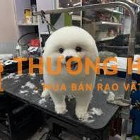 NVBH -THU NGÂN PET SHOP FULLTIME 9h-20h