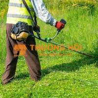 Dịch Vụ Chăm Sóc Cây Xanh – Mảng Xanh – Cắt Tỉa Cây Xanh – Vệ Sinh Cảnh Quan Tại Bình Dương | Cảnh Quan Đại Phát