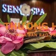 TUYỂN DỤNG KỸ THUẬT VIÊN MASSAGE – LÁ SEN SPA