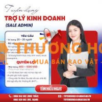 Sales Admin - Trợ Lý Kinh Doanh