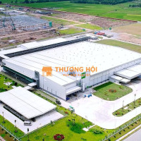 CÔNG TY CẢNH QUAN ĐẠI PHÁT: Bảo Dưỡng, Thi Công Cảnh Quan Chuyên Nghiệp tại Đồng Nai, Bình Dương, TPHCM | Chuẩn FDI