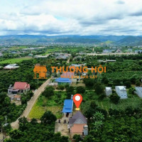 13m mặt tiền đường tại Đông Thanh-Lâm Hà dt 315m2 sẵn 263m2 thổ chỉ nhỉnh 1 tỷ