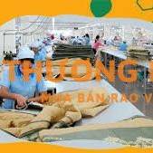 TỔ TRƯỞNG CHẤT LƯỢNG