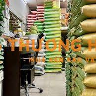 Tuyển Nam Giao Hàng - Gạo