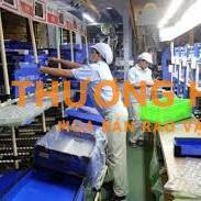 XKLD Nhật Bản đơn hàng kiểm tra, đóng gói nhựa