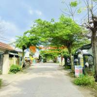 Bán 2 lô liền kề hơn 260m2, cách quốc lộ chỉ 300m, gần chợ Đại Hiệp, giá siêu rẻ chỉ 7xxtr/lô