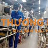 Gấp 10b ứng lúa tuần 1tr5 đến 2tr ở CTY điện tử BD
