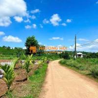 Bán đất 1000m2 sẵn 100m2 thổ cư tại Tân Hà-Lâm Hà khu dân cư hiện hữu chỉ 780tr