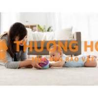 TUYỂN GẤP 01 NỮ GIÚP VIỆC , 01 NỮ CHĂM EM BÉ ( 1T )