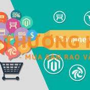 Hỗ trợ kĩ thuật sàn thương mại điện tử