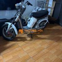 xe điện nijia mới thay bình