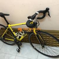Xe đạp đua Giant Defy 4 2016