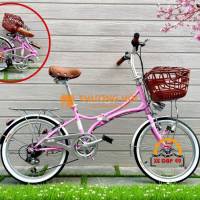 🚴‍♂️ XE ĐẠP GẤP 20IN ĐỀ SHIMANO MỚI 100%