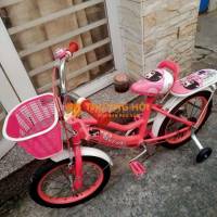 Xe đạp trẻ em Nữ 16 inch Hồng