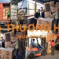 Bao ăn ở, bốc xếp hàng nhẹ, tăng ca lĩnh tiền ngay