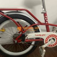 bán xe đạp thông nhất còn mới