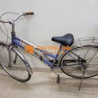 Xe đạp Avibus Bridgestone xanh dương