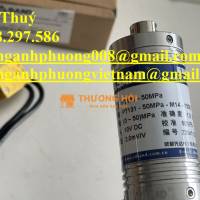 Giá ưu đãi - Đầu dò Sand PT131-50MPA-M14-150/370-K